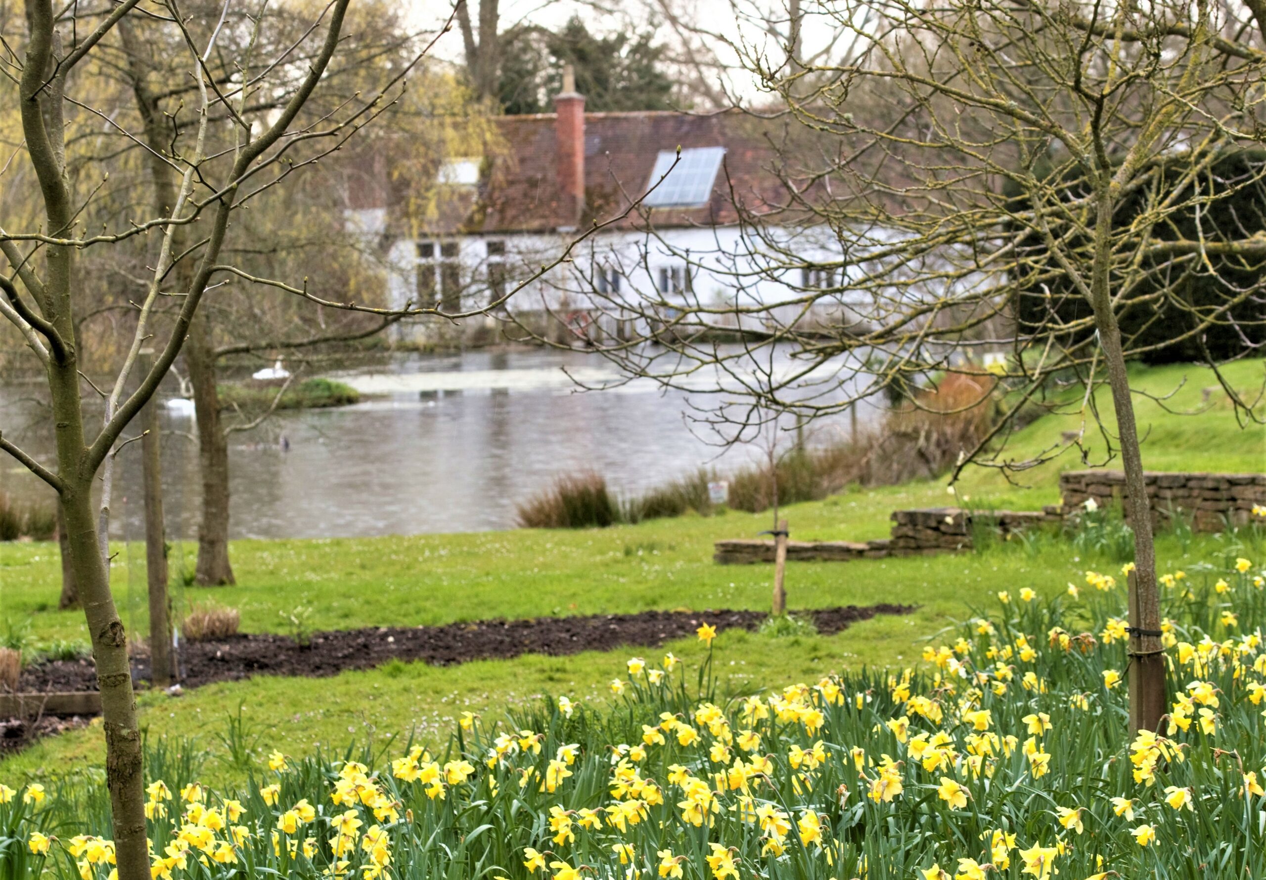 Open Garden 23 March 2022
