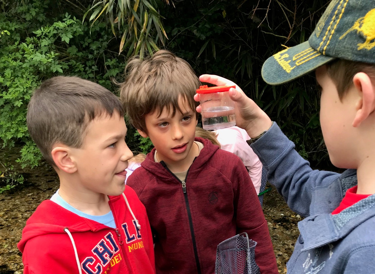 Young scientists explore Springhead’s wildlife