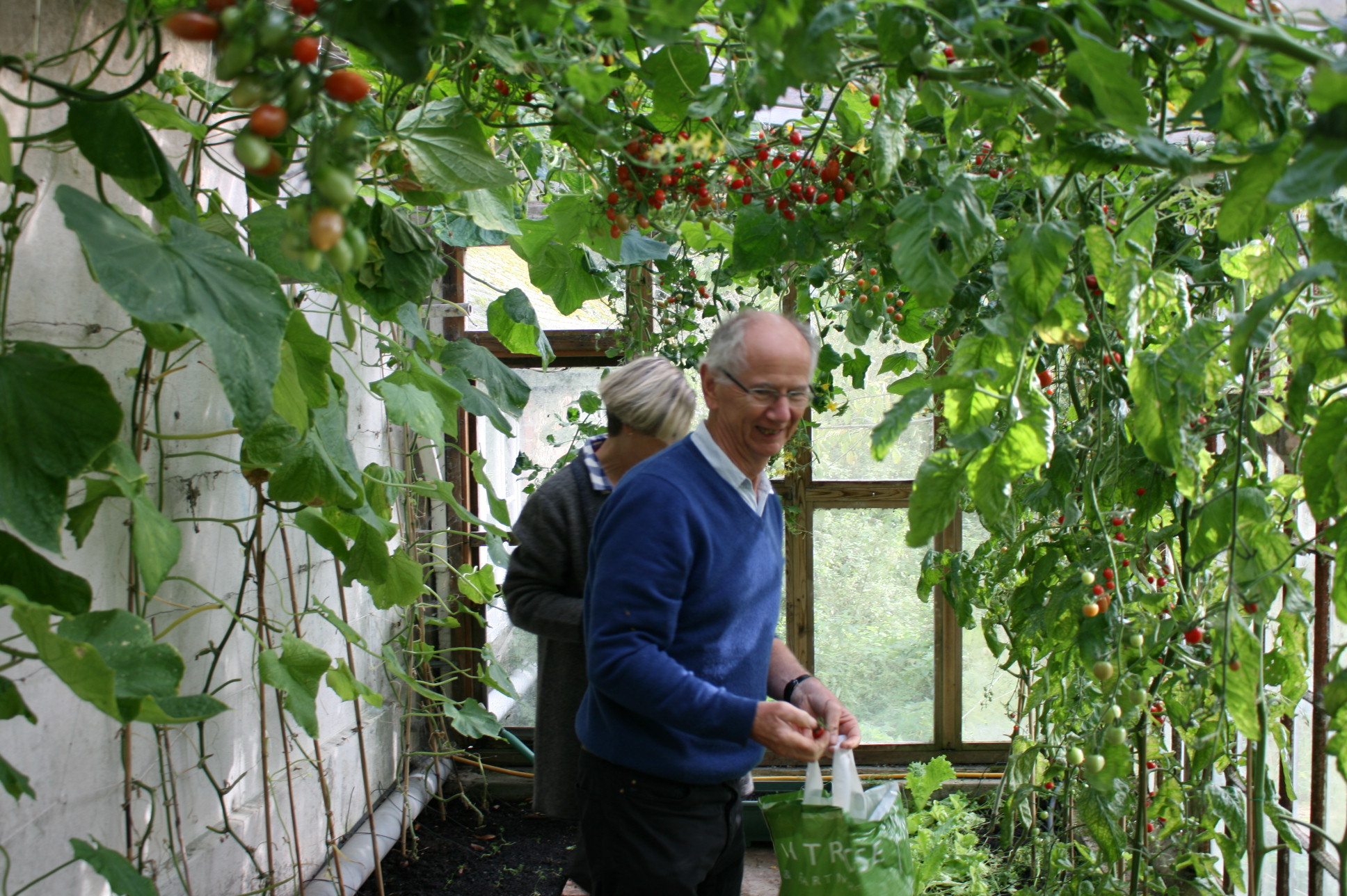 Productive Gardens Project vacancy