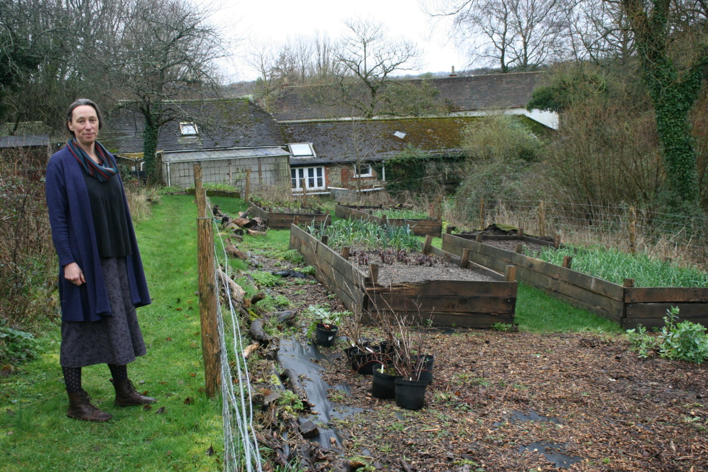 Kitchen gardens to get new lease of life